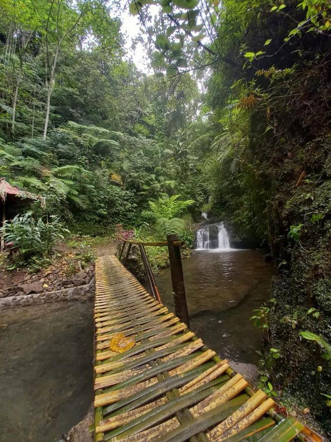 Munduk Tutub Waterfall View Exterior foto